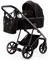Детская коляска Adamex Delta Natura 3 в 1 DN-11-CARBON (ЧЕРНЫЙ) 1546991190 - фото 81287