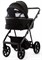 Детская коляска Adamex Delta Natura 3 в 1 DN-11-CARBON (ЧЕРНЫЙ) 1546991190 - фото 81293