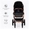 Детская коляска 3 в 1 Tomix Walker LUX BLACK+ROSE GOLD 1454966364 - фото 81884