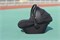 Коляска Carrello Vector CRL-6550 Nova DK791 Grey Line 3 в 1 Magnet Black 1003742254 - фото 82648