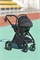 Коляска Carrello Vector 2025 CRL-6551 Nova DK791 Black Line 3 в 1 Field Green 67275944 - фото 82971
