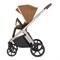 Коляска Carrello Vector CRL-6550 Ammonite AY329 Pro Absolute Black 3 в 1 Coral Beige 1471945362 - фото 85000