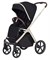Коляска Carrello Vector CRL-6550 Ammonite AY329 Pro Absolute Black 3 в 1 Pearl Black 186813247 - фото 85192