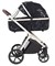 Коляска Carrello Vector CRL-6550 Ammonite AY329 Pro Absolute Black 3 в 1 Pearl Black 186813247 - фото 85194