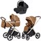 Коляска Carrello Vector CRL-6550 Nova Black Line с базой Isofix 3 в 1 Coral Beige 866803202 - фото 86855