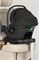 Коляска Carrello Vector 2025 CRL-6551 Nova Black Line с базой Isofix 3 в 1 Field Green 1644479193 - фото 87353