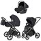 Коляска Carrello Vector 2025 CRL-6551 Nova DK791 Grey Line с базой Isofix 3 в 1 Shadow Black 556853031 - фото 88177