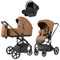 Коляска Carrello Alfa CRL-6522 2025 Nova DK791 Black Line 3 в 1 Honey Beige 1094057767 - фото 89083