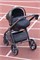 Коляска Carrello Alfa CRL-6522 2025 Nova DK791 Black Line с базой Isofix 3 в 1 Meadow Green 1333262062 - фото 90597