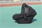 Коляска Carrello Alfa CRL-6522 2025 Nova DK791 Black Line с базой Isofix 3 в 1 Natural Beige 1193763186 - фото 90648