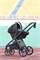 Коляска Carrello Alfa CRL-6522 2025 Nova DK791 Black Line с базой Isofix 3 в 1 Natural Beige 1193763186 - фото 90670