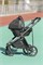 Коляска Carrello Alfa CRL-6522 2025 Nova DK791 Black Line с базой Isofix 3 в 1 Natural Beige 1193763186 - фото 90674