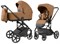 Коляска Carrello Alfa CRL-6522 2025 Ammonite AY329 Pro Absolute Black 3 в 1 Honey Beige 1586690331 - фото 91034