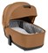 Коляска Carrello Alfa CRL-6522 2025 Ammonite AY329 Pro Absolute Black с базой Isofix 3 в 1 Honey Beige 40111207 - фото 91343