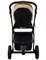 Детская коляска Roan Esso 2025 Кожа 3 в 1 с автокреслом Tutis Elo Lux EduSky Grey ESSK/212/1 Caramel/Black/руч.Тем.коричневый 25093099 - фото 91924