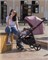 Прогулочная коляска Carrello Bravo CRL-8512 Forest Grey 1910571413 - фото 92347