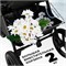 Прогулочная коляска Sweet Baby Elegante SBL S 427525 Green 1459751697 - фото 92369
