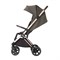 Детская прогулочная коляска Espiro Flame 2025 09 taupe splendor 1425492503 - фото 92998