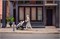 Прогулочная коляска UPPAbaby Cruz V2 BRYCE 1023937716 - фото 94557