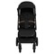 Детская прогулочная коляска Pituso Matrix XXL PU Black 1220257127 - фото 97960