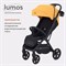 Детская прогулочная коляска Rant Lumos Amber Yellow 592645114 - фото 98076