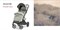 Прогулочная коляска Inglesina Maior Taiga Green AG85R0TGGRU 1989962847 - фото 98251