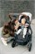 Прогулочная коляска UPPAbaby Cruz V2 LUCY 1387196384 - фото 98914