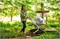 Прогулочная коляска UPPAbaby Cruz V2 STELLA 1185796855 - фото 99155