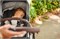 Прогулочная коляска UPPAbaby Cruz V2 STELLA 1185796855 - фото 99157