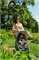 Прогулочная коляска UPPAbaby Cruz V2 STELLA 1185796855 - фото 99164