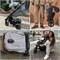 Детская прогулочная коляска Mutsy Nexo Concrete melange 1920499306 - фото 99468