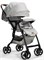Детская прогулочная коляска Joie Airedrift Gray Flannel 2014708777 - фото 99580