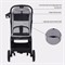 Детская прогулочная коляска Rant Lumos Classic Grey 1835645119 - фото 99964