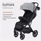 Детская прогулочная коляска Rant Lumos Classic Grey 1835645119 - фото 99970
