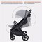 Детская прогулочная коляска Rant Lumos Classic Grey 1835645119 - фото 99971
