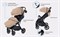 Детская прогулочная коляска Rant Lumos Latte Beige 1808498912 - фото 99998